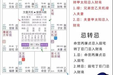 紫薇斗数各个派别