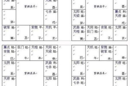 紫微斗数案例48财官：能力强、欲望大的人，愿你的命盘不是这样