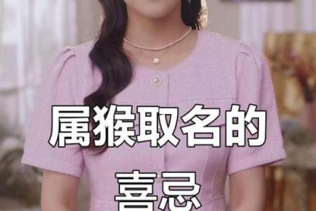 早上八点出生的属猴男孩如何起名，应用什么字姓名