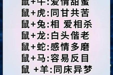 八字合婚 鼠和狗的属相适合做夫妻吗