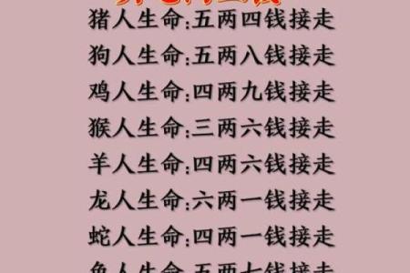 双猪双羊算命详解