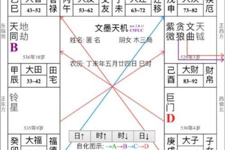 紫薇命盘在线排盘，七杀坐命申宫有什么影响？