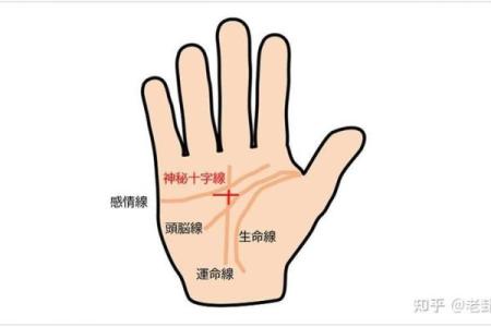 手纹算命图解【高清】
