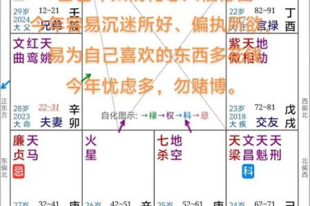 紫薇斗数生肖表