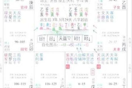 紫薇斗数软件破解