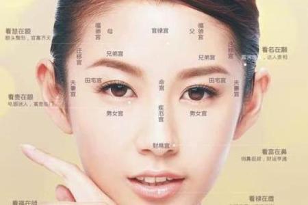 如何从女人下巴面相算命