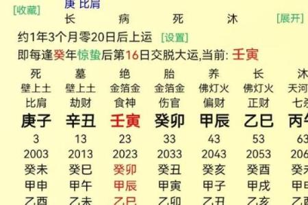 算命说几岁行运什么意思