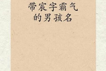 2019年3月24号亥时出生的男孩起名时要注意什么姓名