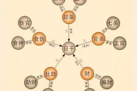 八字里十神