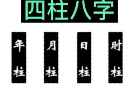 八字算命软件下载