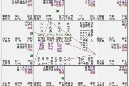 紫微斗数诸星落诸宫之：武曲星兄弟宫详解