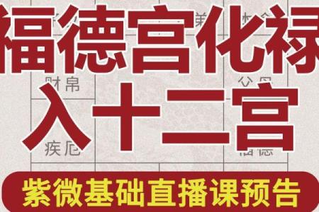 紫微斗数之福德宫与诸星，太阴星在福德宫是什么意思？