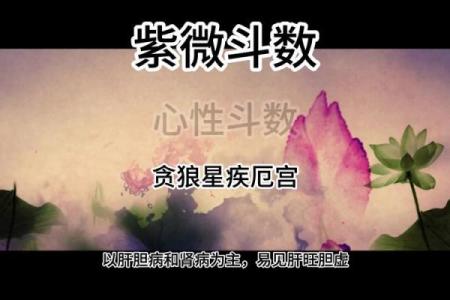 紫微斗数诸星落诸宫之：疾厄宫