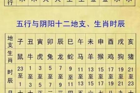 看生辰八字看什么