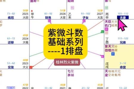 天煞紫薇斗数