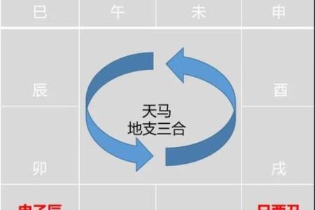紫微斗数之十二宫分属阴阳