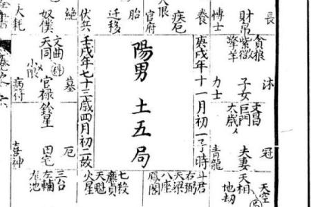 pdf紫薇斗数全书下载