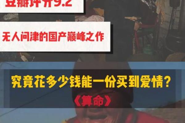 算命记录片之一集