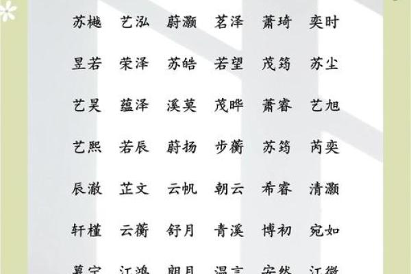 盛姓男孩名字大全-盛姓男孩起名字大全-盛姓名字大全姓名