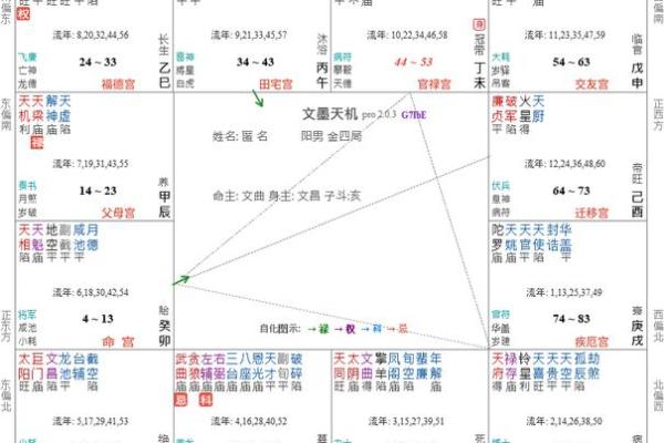 紫薇斗数干的气化