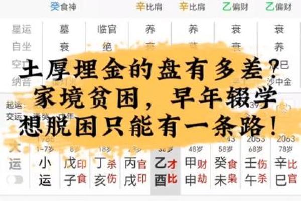 金多的八字