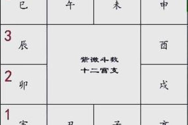 灵动紫薇斗数排盘
