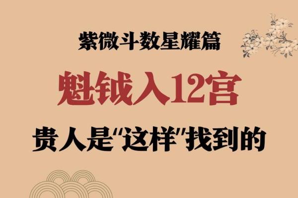紫薇斗数欧美篇