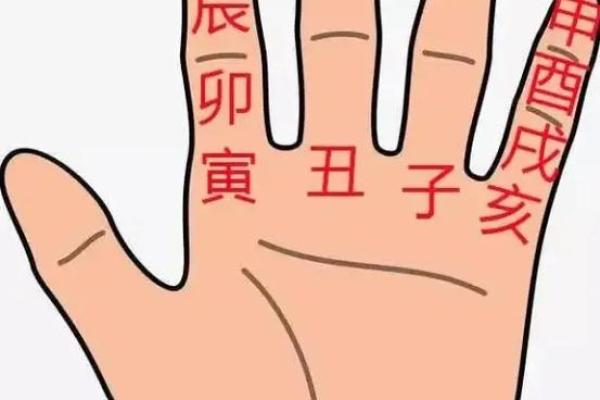 女生八字盘详解及分析，揭秘八字算命的秘密！