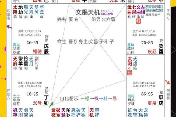 紫薇斗数看人生txt的简单介绍