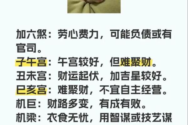 紫薇斗数怎么财运