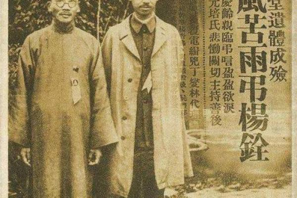 杨杏佛紫薇斗数盘