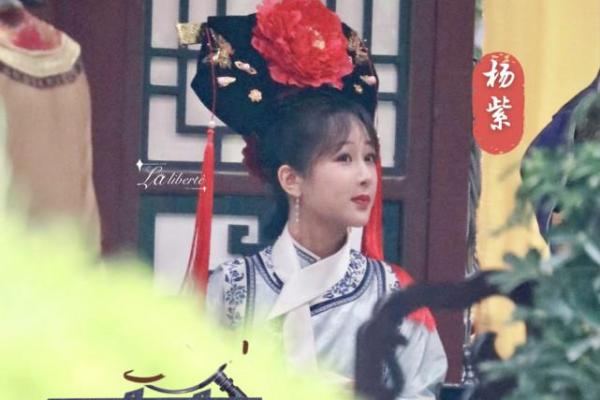 紫薇斗数杨紫