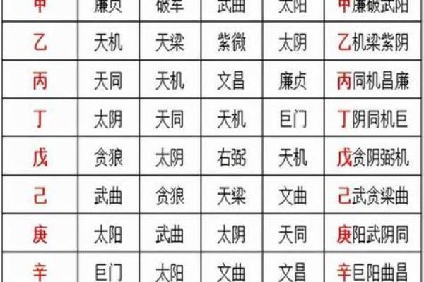 飞星紫微斗数原旨（斗数观测录）
