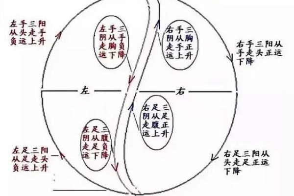 八字疗法图