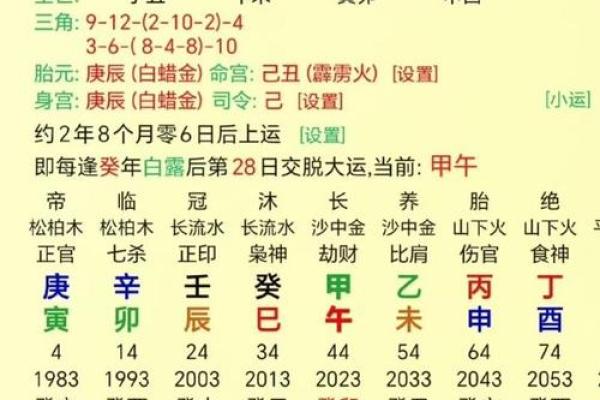 日柱辛卯的八字案例