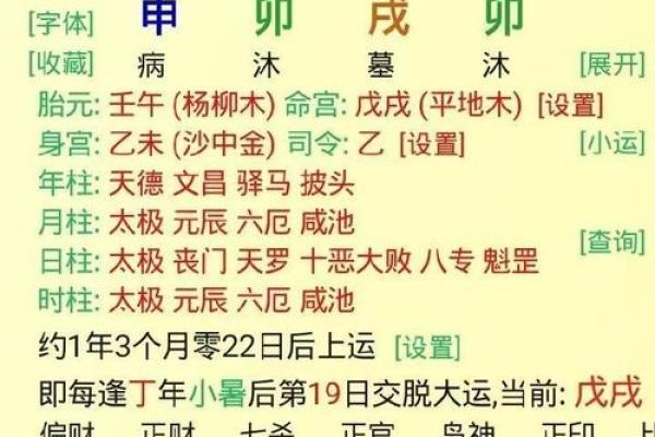 八字身旺财杀两透