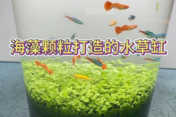 八字水旺农业：优质水草培育技巧分享