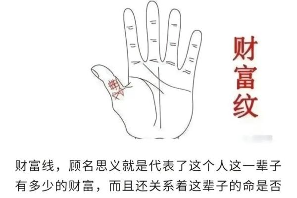 手相算命,女人手相成功线图解