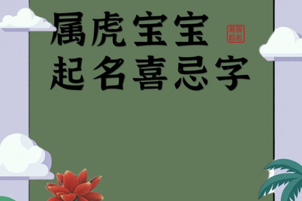 傍晚6点出生的属虎男孩如何起名，宜用什么字姓名