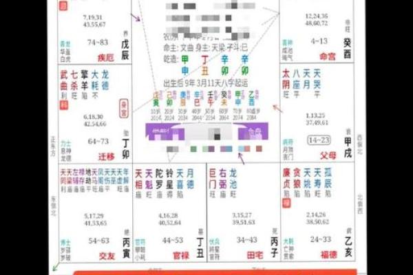 八字排盘宝免费版