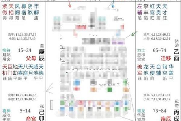 紫微斗数太阳太阴在疾厄宫
