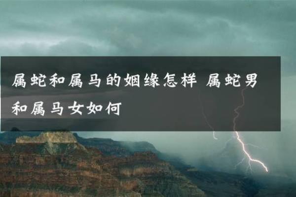 八字合婚属蛇的女人和属蛇男能结婚吗 有没有姻缘
