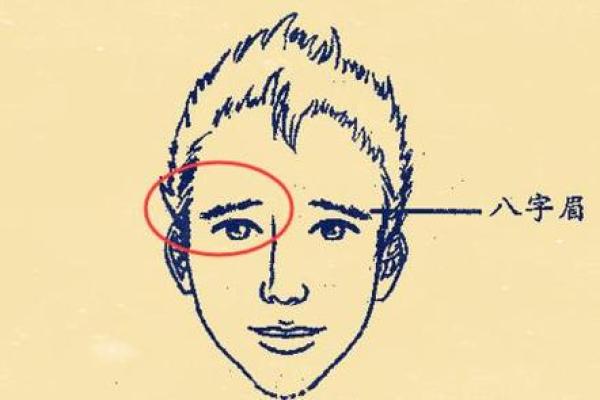 男人八字眉能嫁吗?八字眉男人命运怎么样? 男人八字眉能嫁吗?八字眉男人命运怎么样?