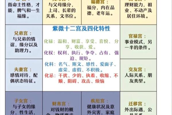 紫薇斗数男命主要看什么宫位