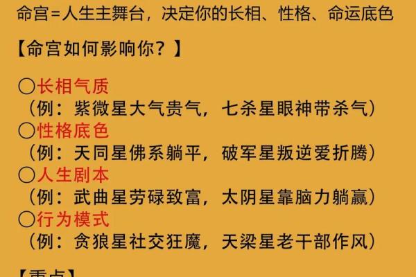 紫微斗数开班 紫微斗数入门教学讲座视频？