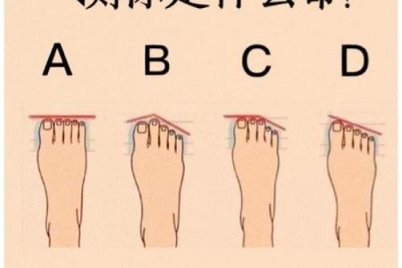 神准测试--选对行！适合你的工作种类是什么？