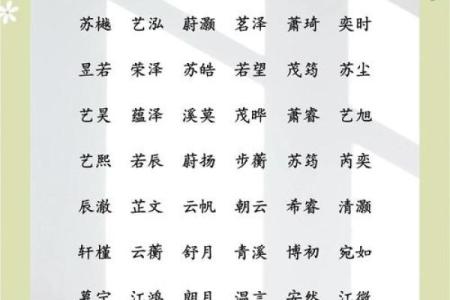 盛姓男孩名字大全-盛姓男孩起名字大全-盛姓名字大全姓名