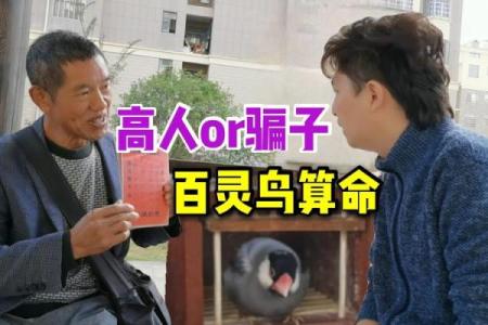 请大师算命 被坑十余万 以为碰上高人 实为男友“分身”