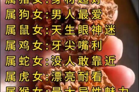 属猪和属鼠的八字合吗