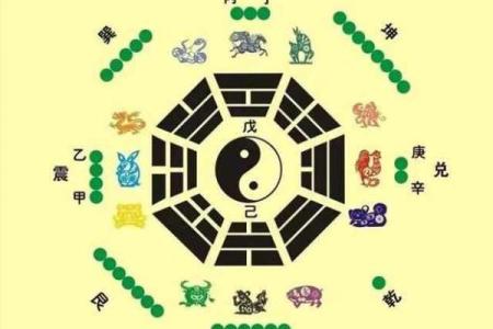 金多的八字